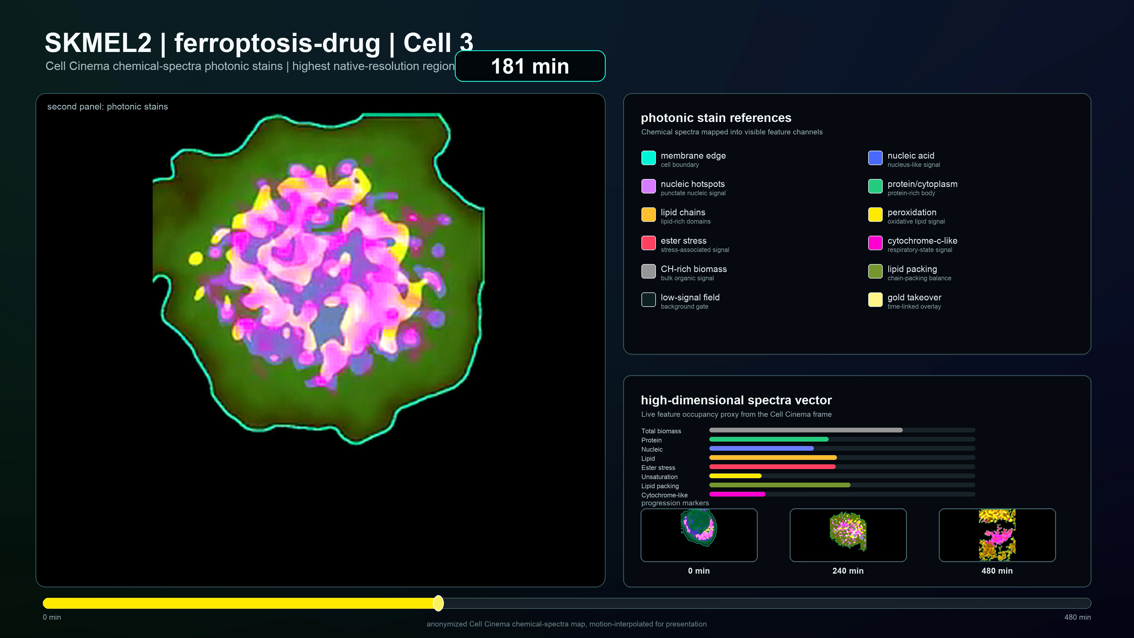 Representative processed Cell Cinema frame showing live-cell chemical measurements