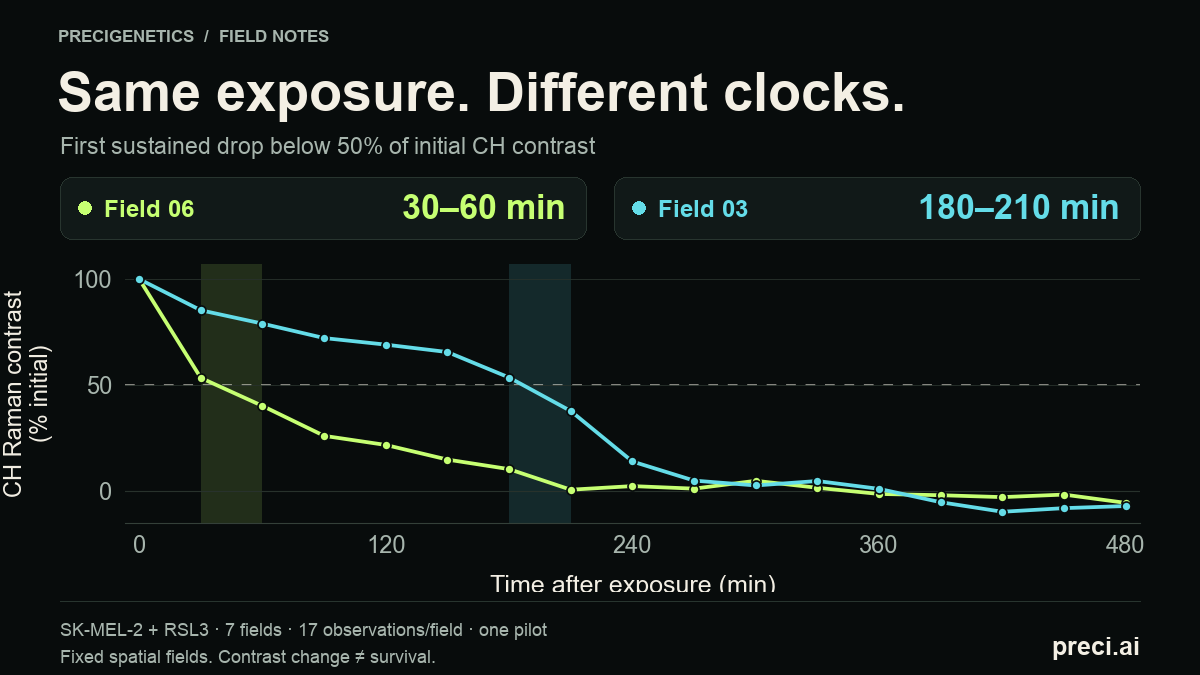 CH Raman contrast in fixed Fields 06 and 03 over 480 minutes after RSL3 exposure. Field 06 crosses below half its initial contrast between 30 and 60 minutes; Field 03 between 180 and 210 minutes. Both show strong contrast loss later.