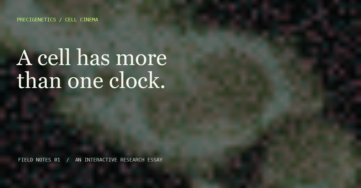 A cell has more than one clock.